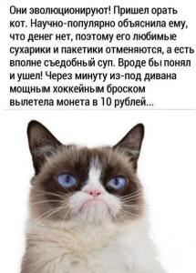 scale_1200 - 2021-07-26T102423.721.jpg