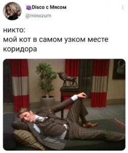 scale_1200 - 2021-07-26T131358.496.jpg