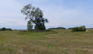 Скриншот 30-07-2021 145957.png