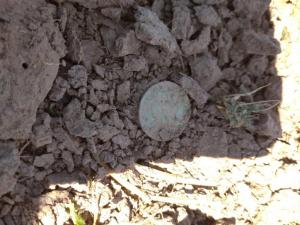 WhatsApp Image 2021-07-21 at 09.55.59.jpeg