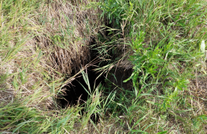 Скриншот 30-07-2021 150011.png