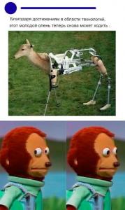 scale_1200 - 2021-07-19T130002.101.jpg