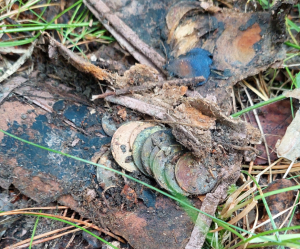 Скриншот 06-08-2021 151715.png