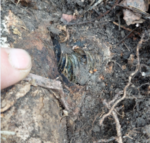 Скриншот 06-08-2021 151727.png