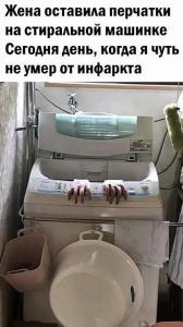 scale_1200 (11) (1).jpg