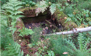 Скриншот 11-08-2021 174536.png