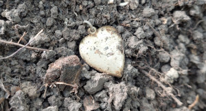 Скриншот 14-09-2021 141535.png