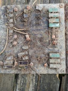 WhatsApp Image 2021-09-06 at 18.11.04.jpeg