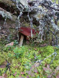 IMAG0235_новый размер.jpg