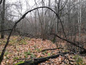 WhatsApp Image 2021-10-29 at 18.22.35 (1).jpeg