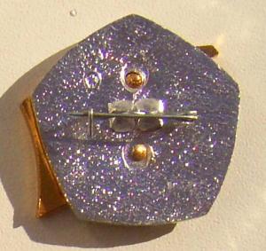 Знак Ударник 12 пятилетки (2).JPG