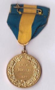 SKIF gold medal  2.jpg
