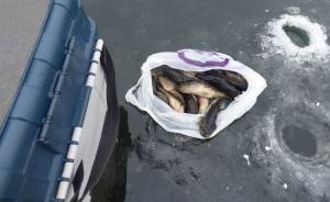 Скриншот 10-11-2021 140752.png