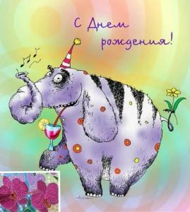 smeshnye-kartinki-s-dnyom-rozhdeniya_30.jpg