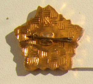 Пионерский значок (3).JPG