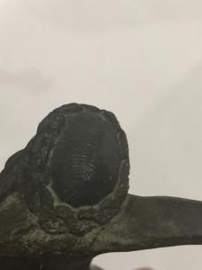 Распятие 1 (2).jpg