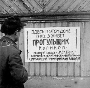 scale_1200 (10).jpeg