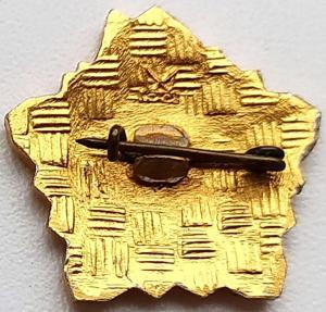 Пионерский значок (2).jpg