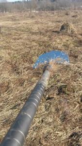 2017-03-25 13-53-13.JPG