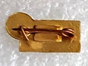 Знак Футбольного клуба Динамо (2).jpg