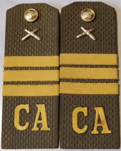 Погоны СА 91г..jpg