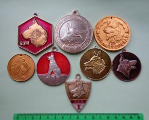 DSC03885_новый размер.JPG