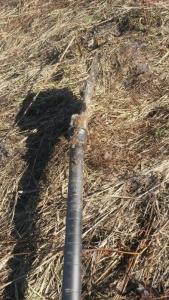 2017-03-25 13-53-09.JPG