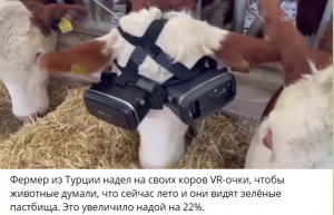 2022-01-15 23_35_17-Telegram (218).png