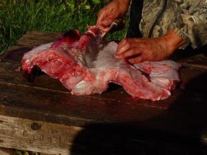 разделка сома 1.jpg