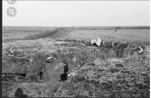 Снимок экрана (2599).png