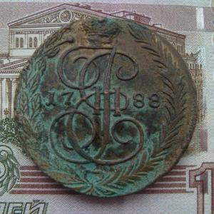 5 нечищ венз.jpg