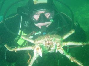 краб под водой.jpg