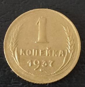 Screenshot_20220317-113635_Magnifier & Microscope [Cozy].jpg