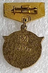 Знак Болельщик (2).jpg