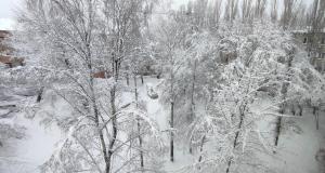 2022-03-05 09-32-57.JPG