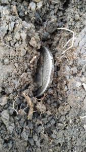 2021-10-12 13-52-29.JPG