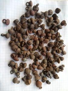 2022-03-18 12-49-30.JPG