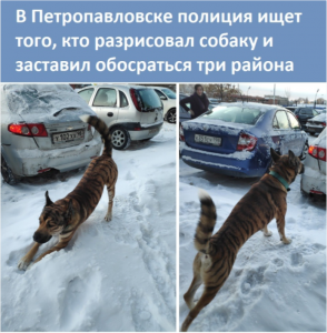 2022-03-20 14_00_24-Вся правда о состояний российской армии _ Пикабу.png