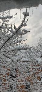 2022-03-05 09-30-52.JPG