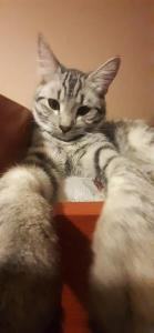 IMG-20220210-WA0001 — копия.jpg