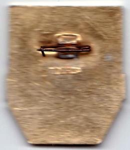 Знак Дружинник (2).jpg