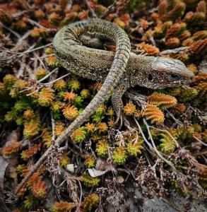 2022-04-13 07-13-11.JPG