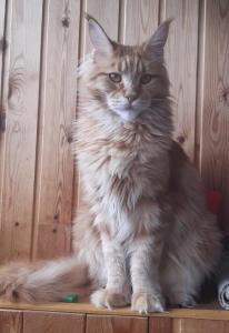 BqL5PahNiiKErL50nzhe84WxL03NIYNqKsf0cBWldropwv9RsgyssCoH2owPsBRakSBgO27evJn0Z4raBHnAdajB — копия.jpg