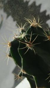 2022-3-30 14-48-10.jpg