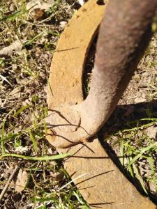 2022-05-05 11.04.17.jpg