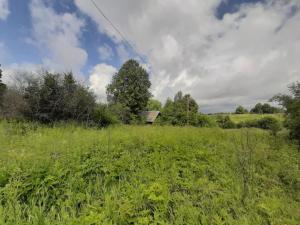 2019-07-08 10-43-05.JPG