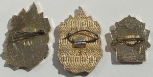 3 значка ЮДПД (3).jpg