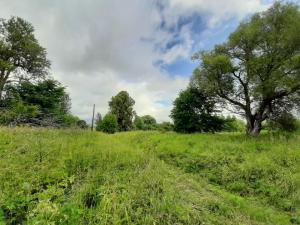 2019-07-08 10-36-17.JPG