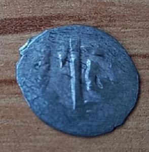 Screenshot_20220320-123258_Magnifier & Microscope [Cozy].jpg