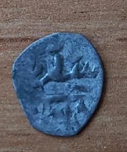 Screenshot_20220320-123414_Magnifier & Microscope [Cozy].jpg